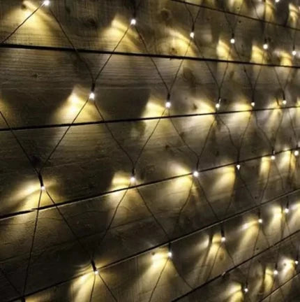 Led girlianda tinklelis 160
